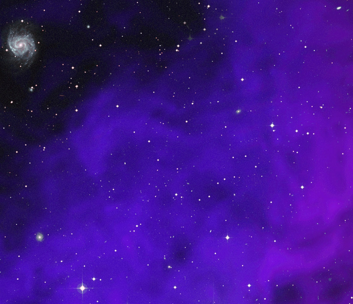 Purple_Backround.jpg